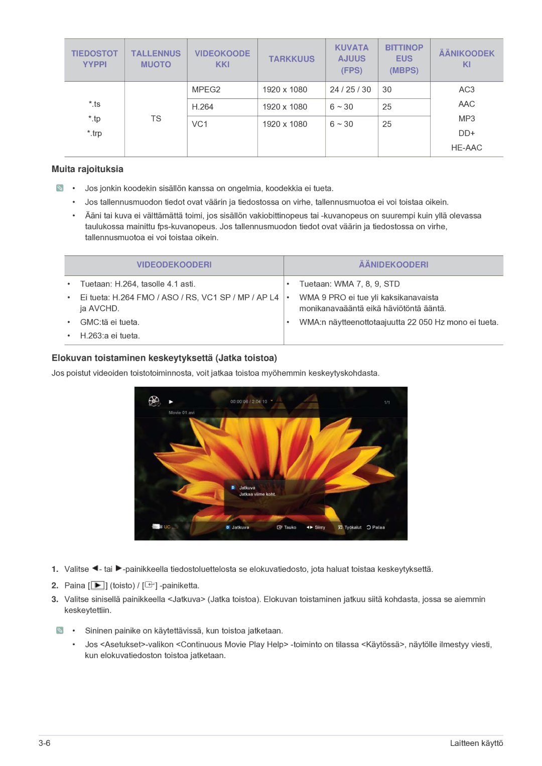 Samsung LS24F9DSM/XE manual Muita rajoituksia, Videodekooderi Äänidekooderi 