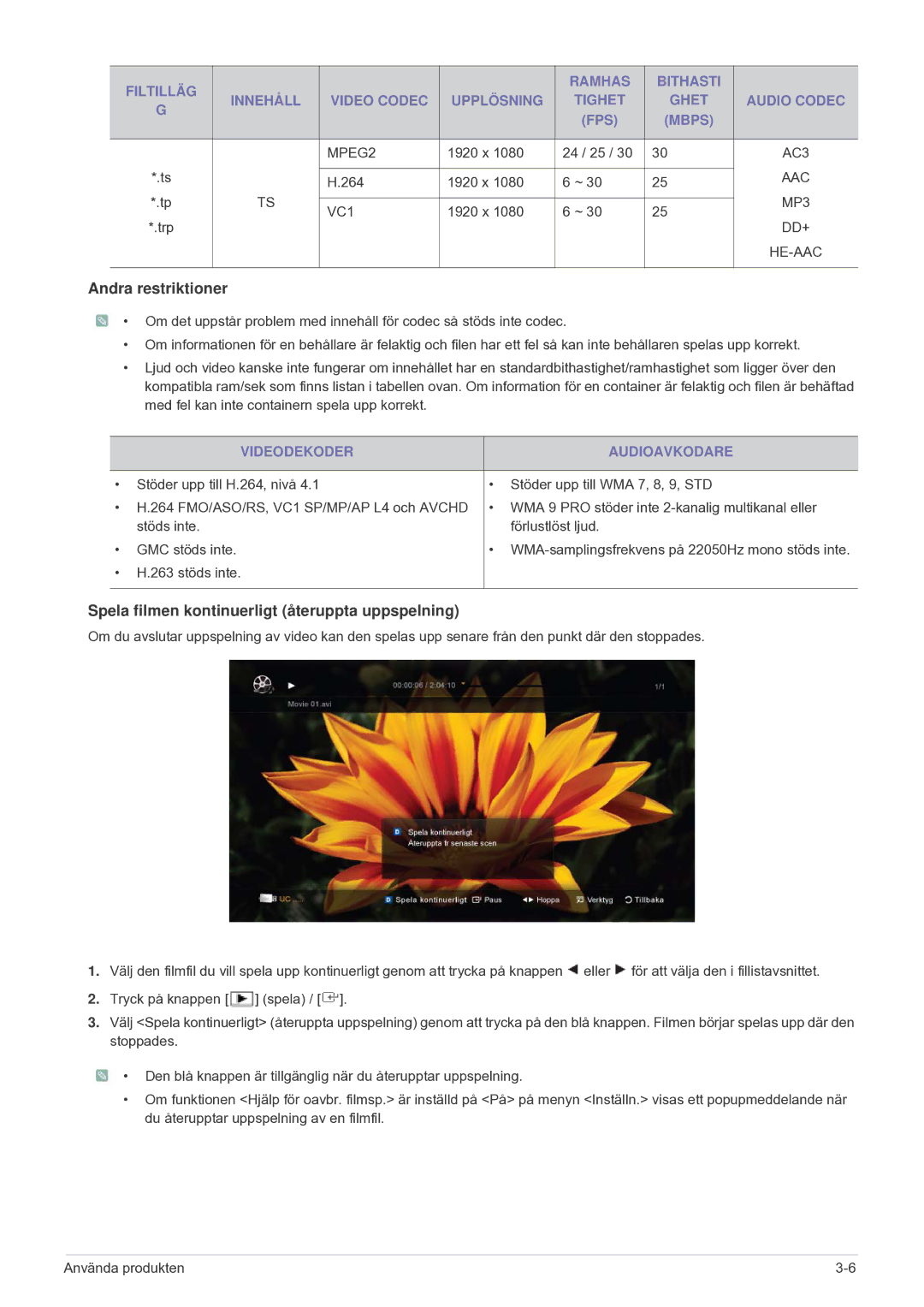 Samsung LS24F9DSM/XE manual Andra restriktioner, Videodekoder Audioavkodare 