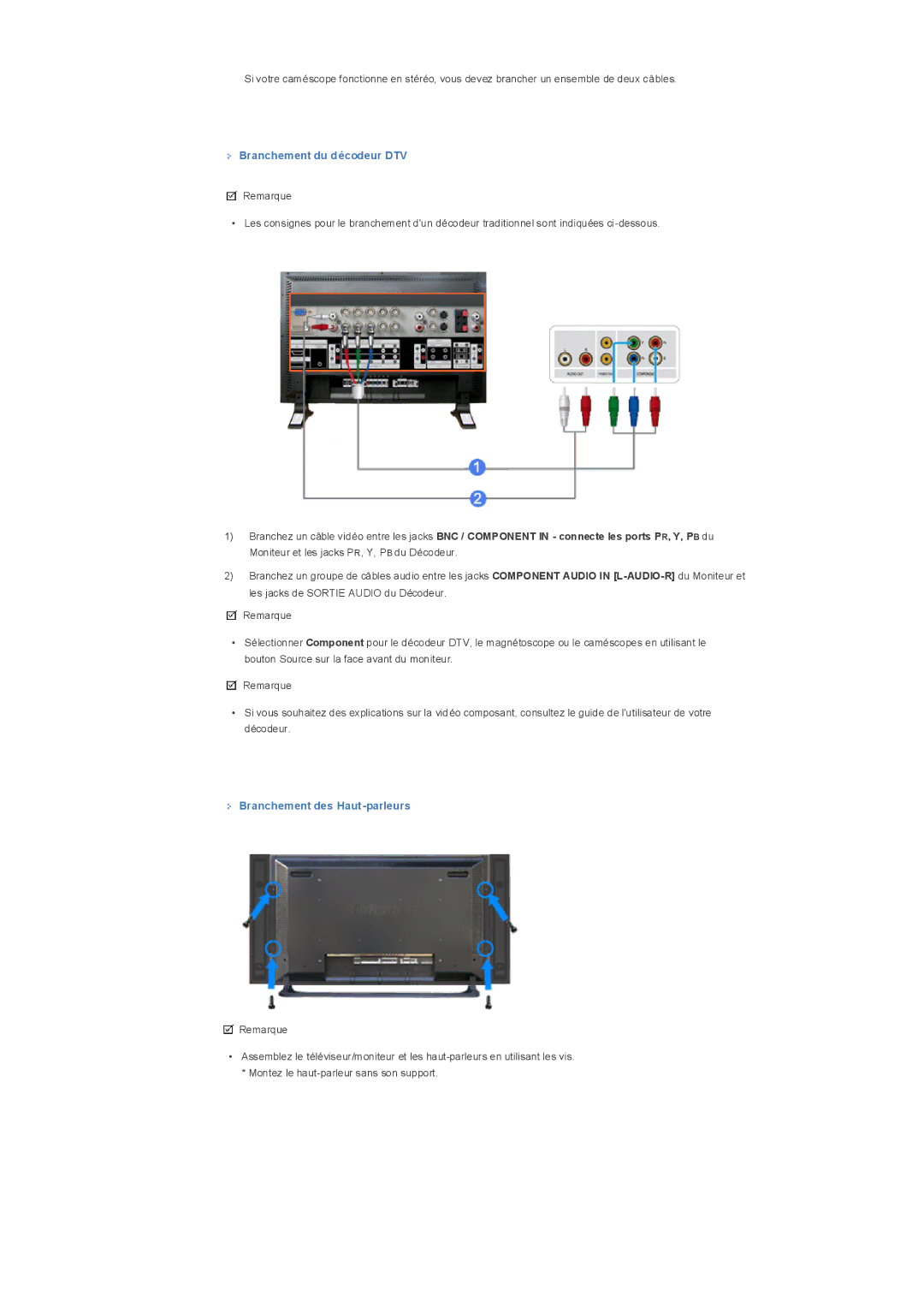 Samsung LS32BHRNB/EDC, LS32BHLNBF/EDC, LS32BHLNB/EDC manual Branchement du décodeur DTV, Branchement des Haut-parleurs 