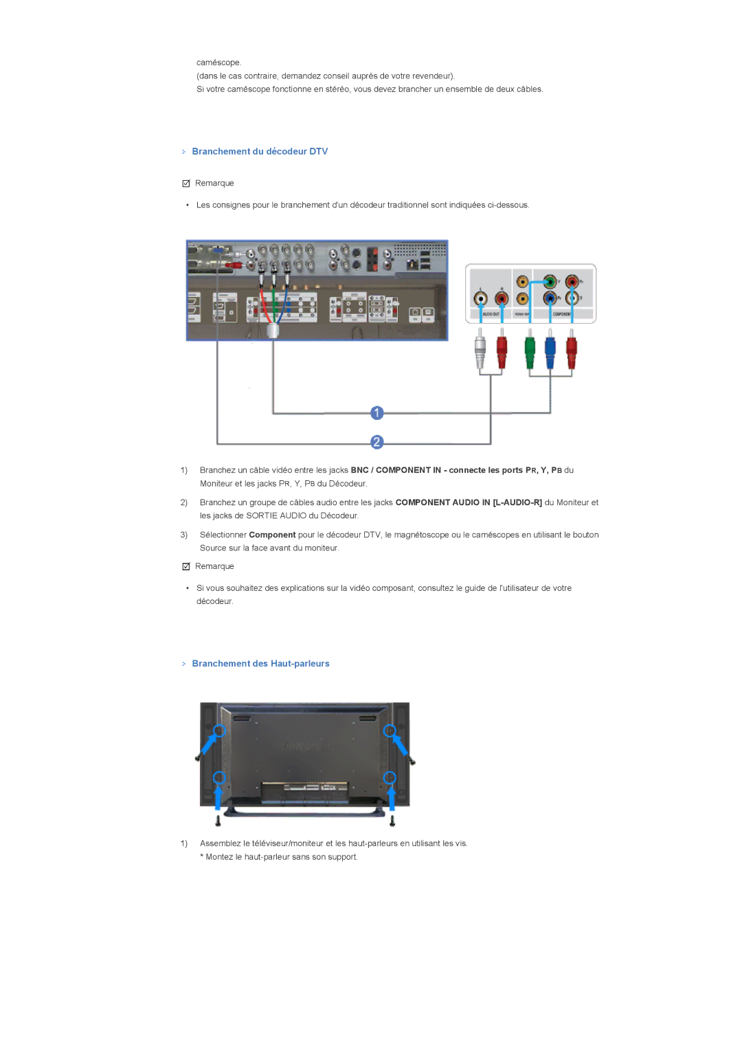 Samsung LS40BHRNB/EDC, LS46BHPNS/EDC, LS40BHRNSF/EDC manual Branchement du décodeur DTV, Branchement des Haut-parleurs 