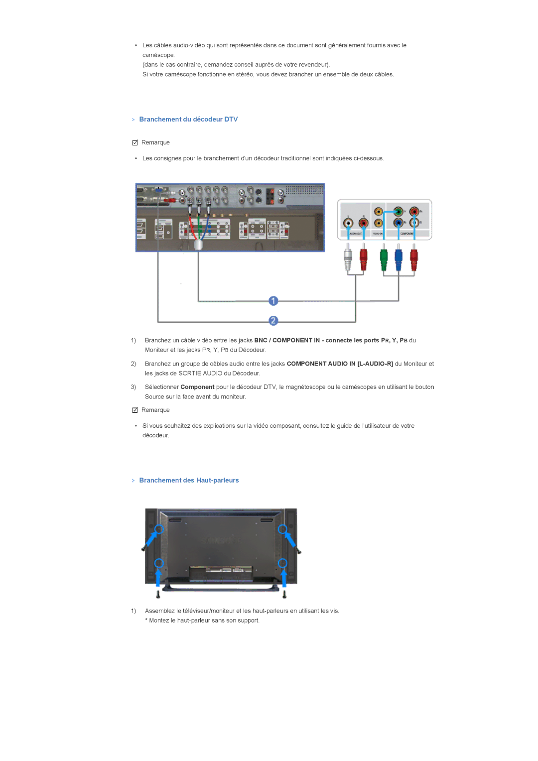 Samsung LS40BHPNS/EDC, LS46BHPNS/EDC, LS40BHRNSF/EDC, LS40BHRNB/EDC, LS40BHPNSF/EDC, LS40BHYNB/EDC Branchement du décodeur DTV 