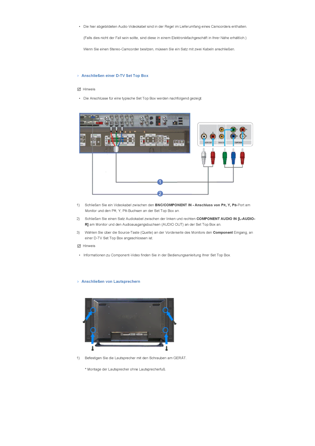 Samsung LS40BHPNS/EDC, LS46BHTNBF/EDC, LS46BHYNBF/EDC Anschließen einer D-TV Set Top Box, Anschließen von Lautsprechern 