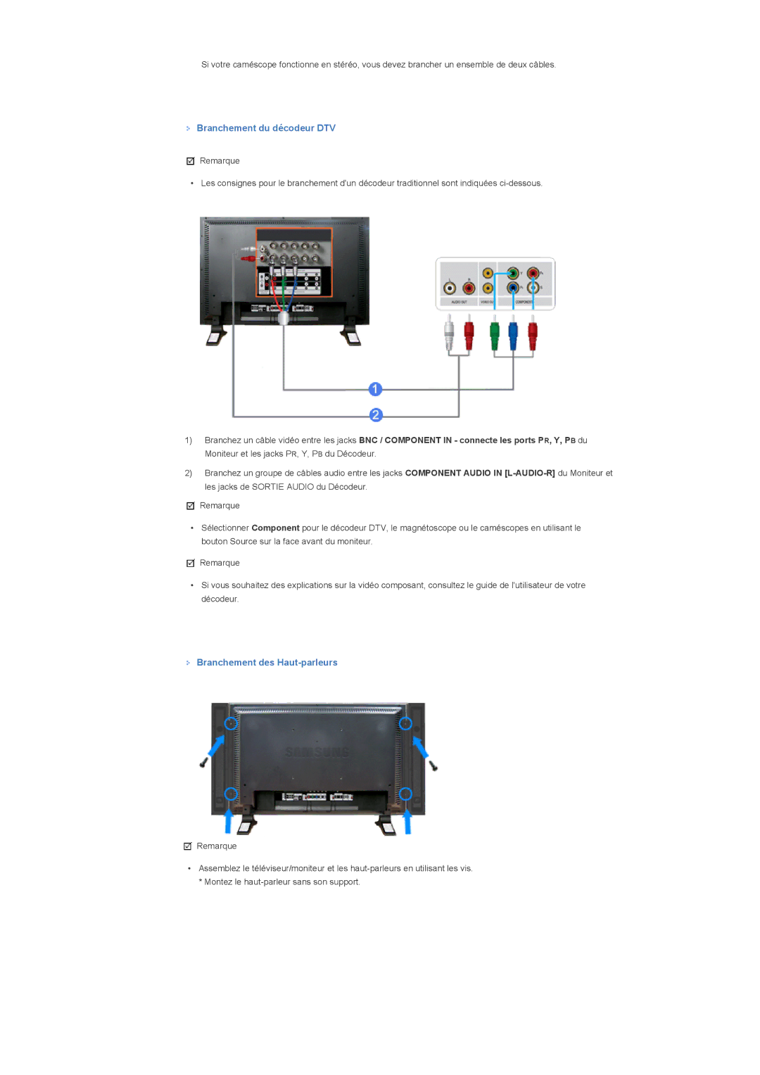 Samsung LS40BPPNB/EDC, LS46BPPNB/EDC, LS46BPPNS/EDC manual Branchement du décodeur DTV, Branchement des Haut-parleurs 