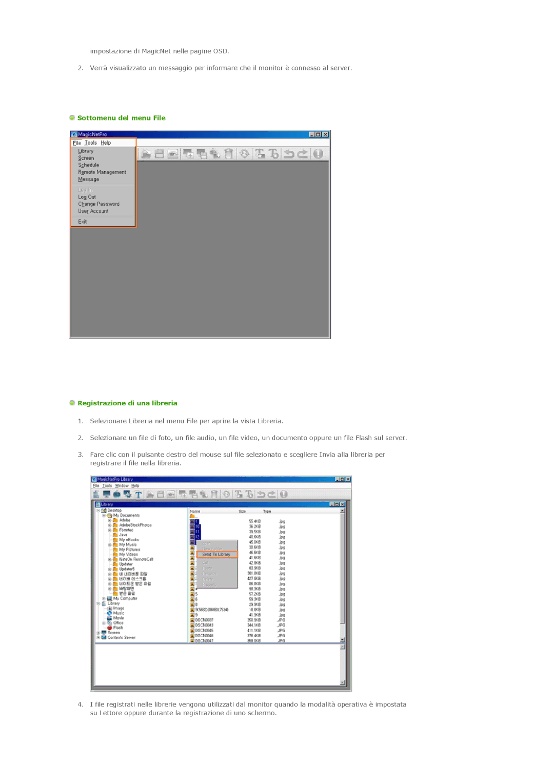 Samsung LS40BPTNS/EDC, LS46BPTNS/EDC, LS46BPPNB/EDC, LS40BPTNB/EDC Sottomenu del menu File Registrazione di una libreria 