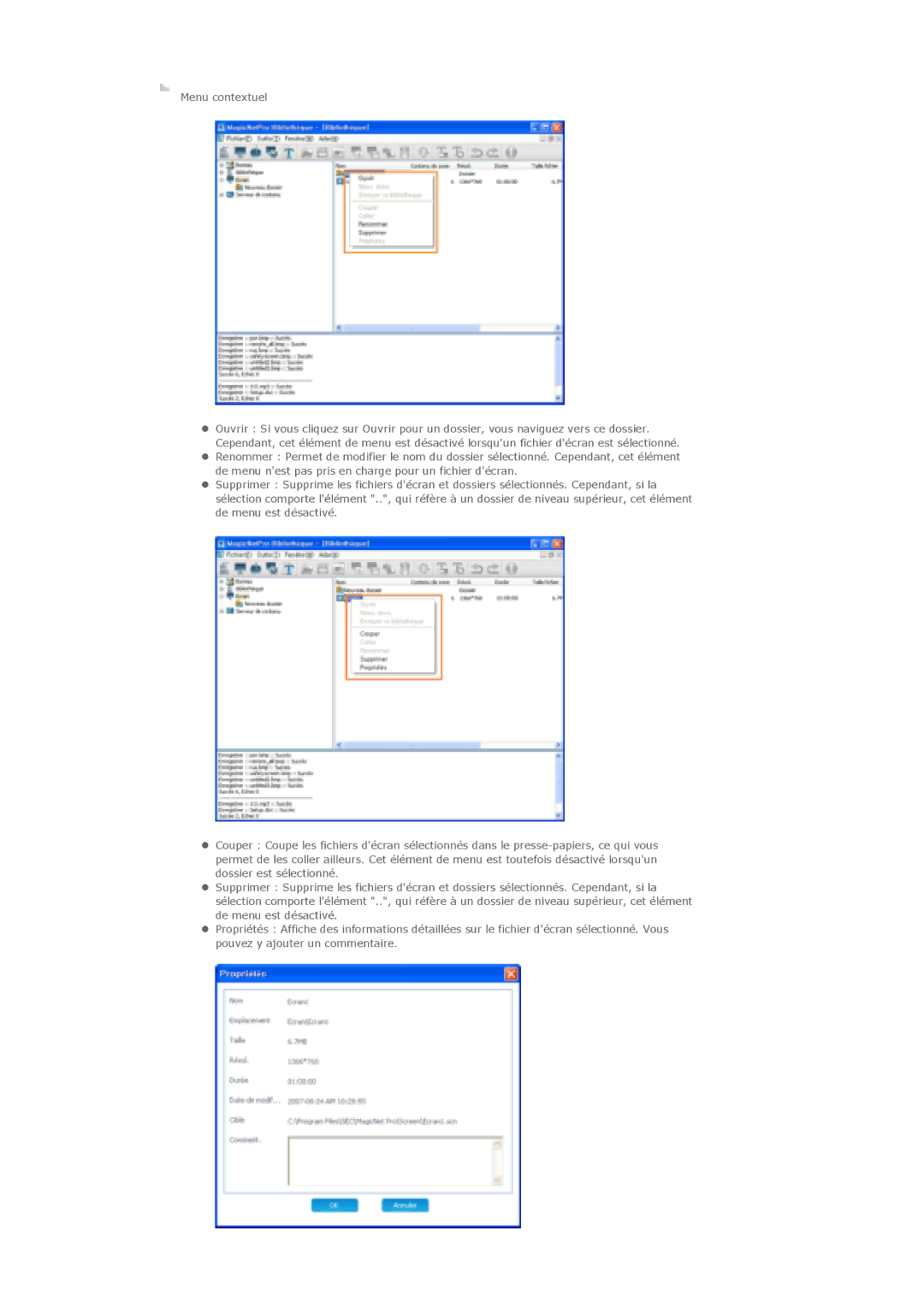 Samsung LS70BPTNBF/EDC, LS82BPTNB/EDC, LS70BPPNBYSEDC, LS70BPTNS/EDC, LS82BPTNS/EDC, LS70BPTNB/EDC manual Menu contextuel 