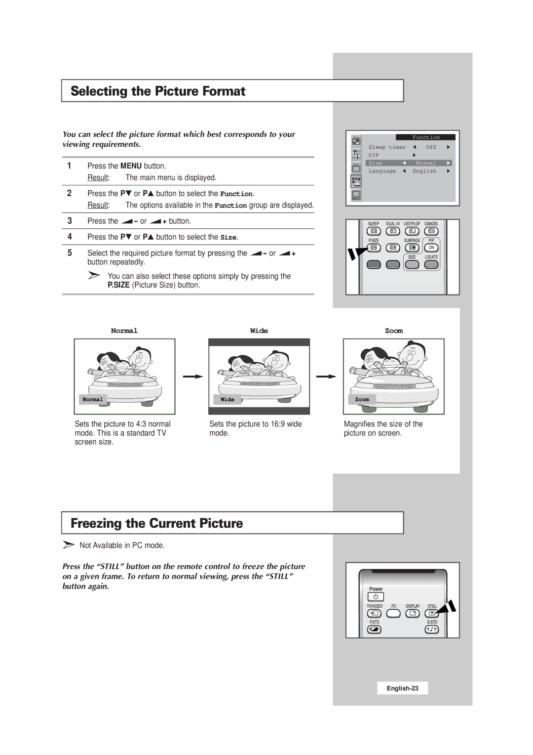 Samsung LW15E23CB, LW17E24CB manual Selecting the Picture Format, Freezing the Current Picture 