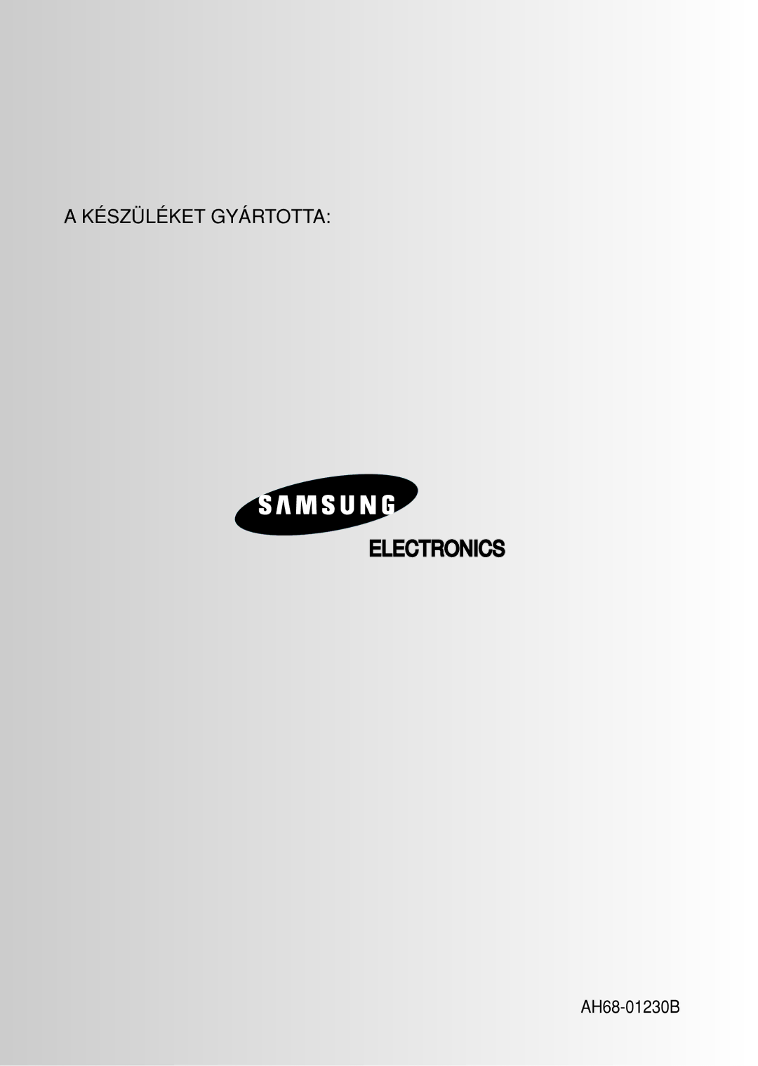 Samsung MAXZS530RH/ELS manual Electronics 