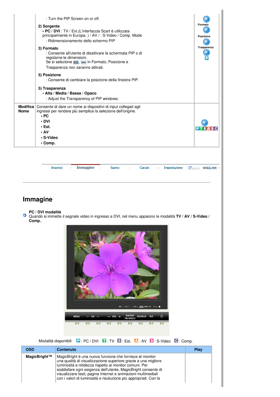 Samsung MH17FSSS/EDC, MH17FSSSU/EDC manual Dvi 