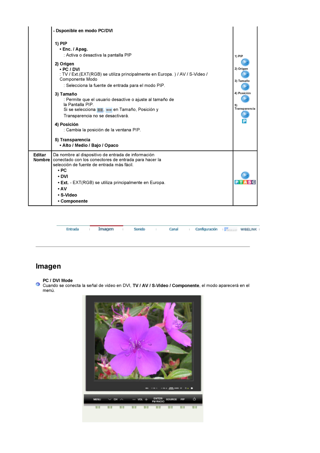 Samsung MH17FSSS/EDC, MH17FSSSU/EDC manual Dvi 