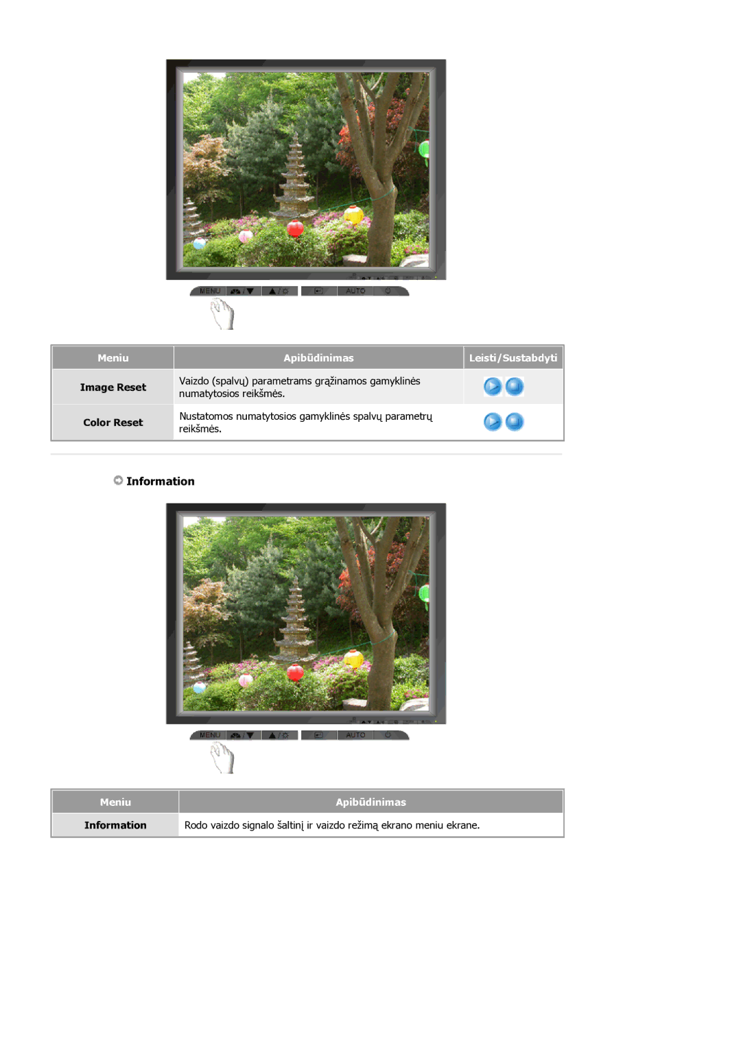 Samsung MJ19ESKSB/EDC manual Information, Image Reset Color Reset 