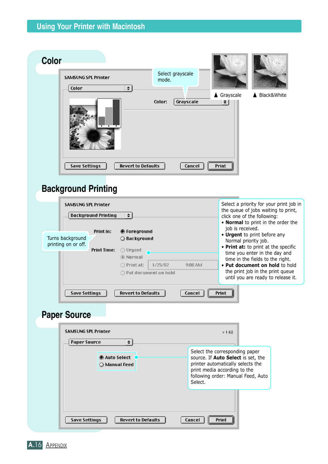 Samsung ML-1430 manual Color 