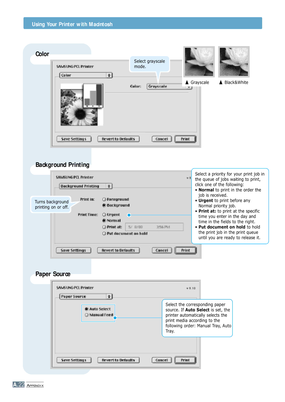 Samsung ML-4600 manual Color 