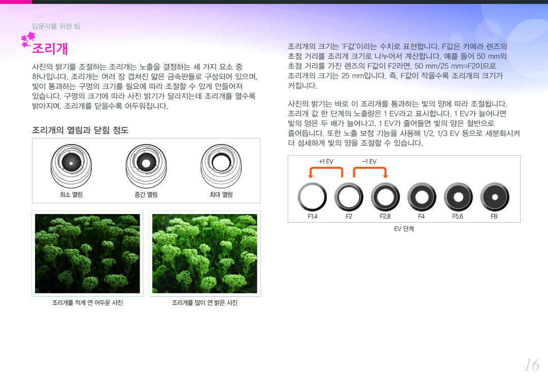 Samsung NX300 manual 조리개 