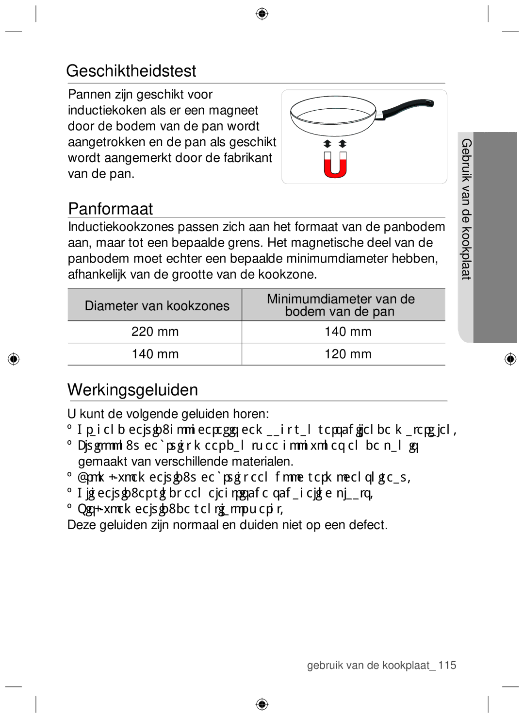 Samsung NZ64F3NM1AB/UR manual Geschiktheidstest, Panformaat, Werkingsgeluiden 