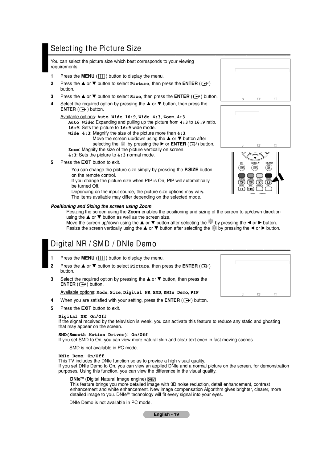 Samsung PDP-TELEVISION manual Selecting the Picture Size, Digital NR / SMD / DNIe Demo 