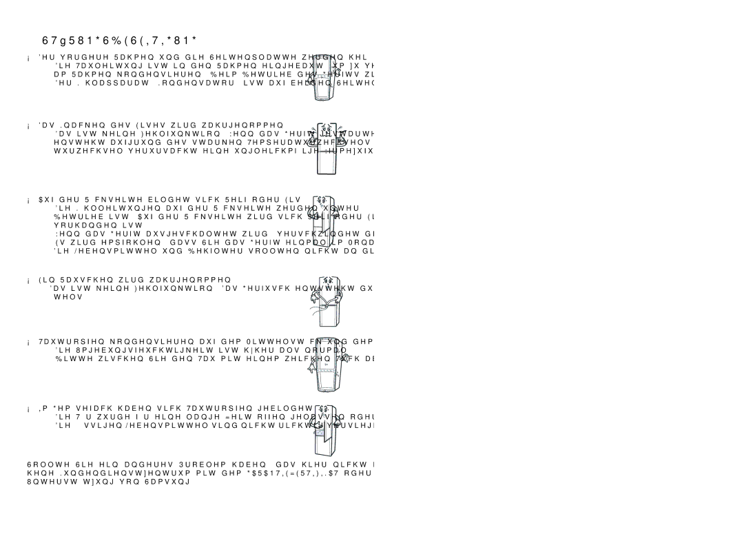 Samsung RL26DCAS1/XAG, RL26DCAS1/BUL, RL26DCAS1/XEH manual  Störungsbeseitigung 