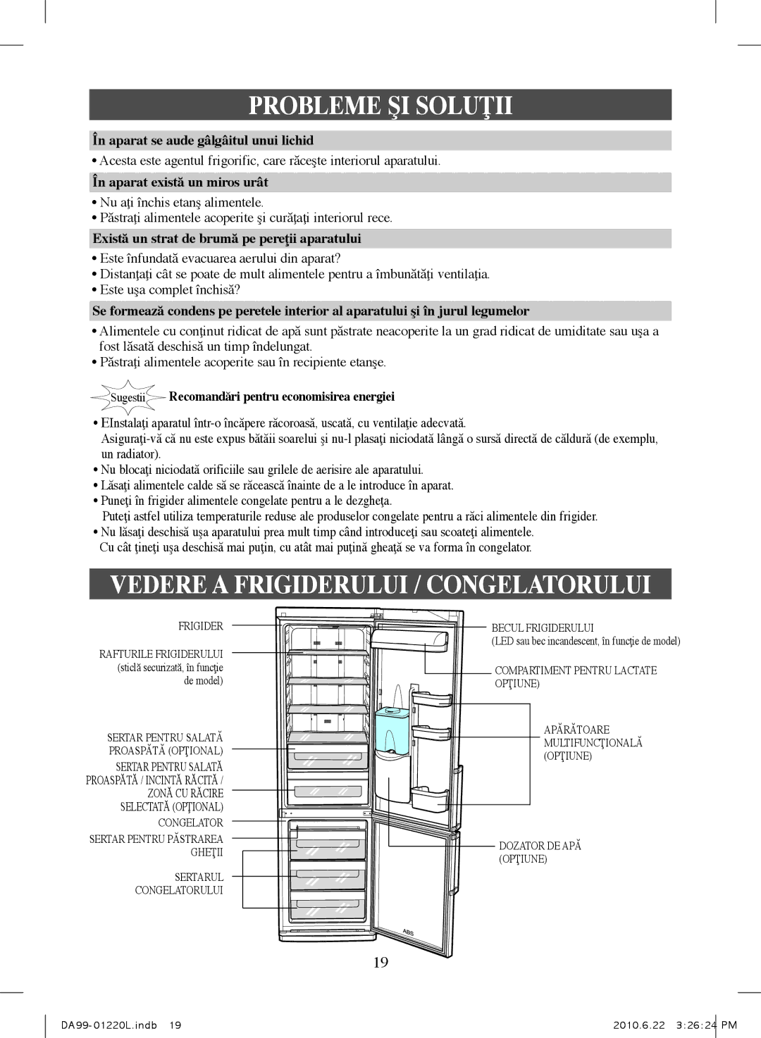 Samsung RL41WCSW1/ELA, RL41WCPS1/ELA manual Vedere a Frigiderului / Congelatorului, În aparat se aude gâlgâitul unui lichid 