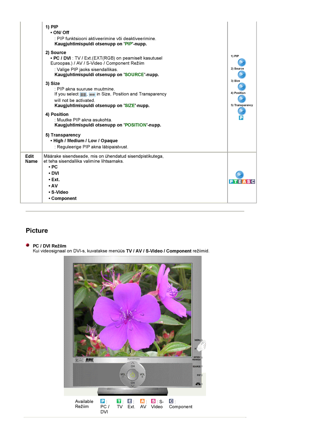 Samsung RT19FSSS/EDC manual Dvi 