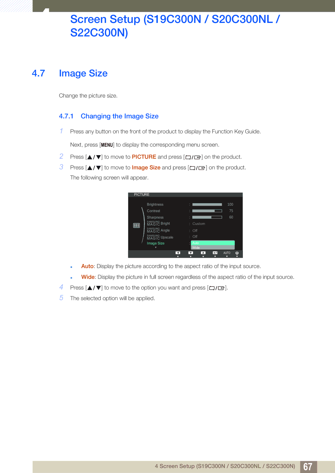 Samsung S22C300H, S24C300HL user manual Image Size 