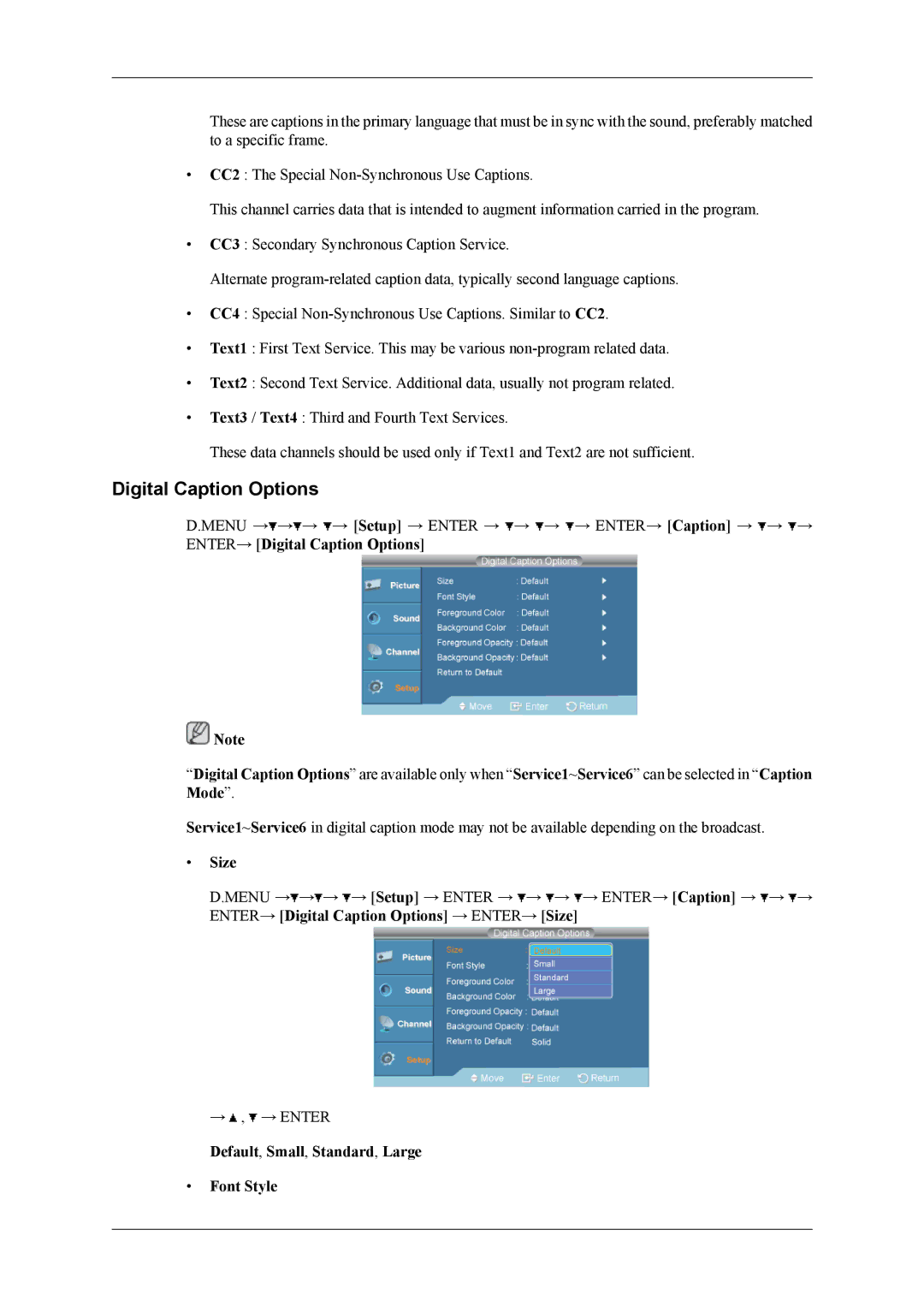 Samsung SBB-DT user manual Digital Caption Options, Size 