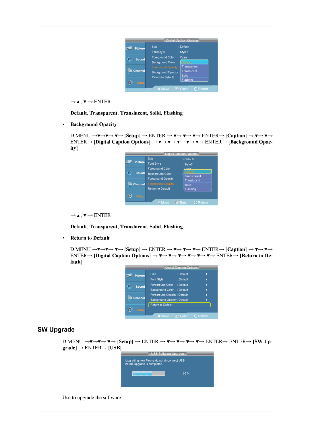 Samsung SBB-DT user manual SW Upgrade 