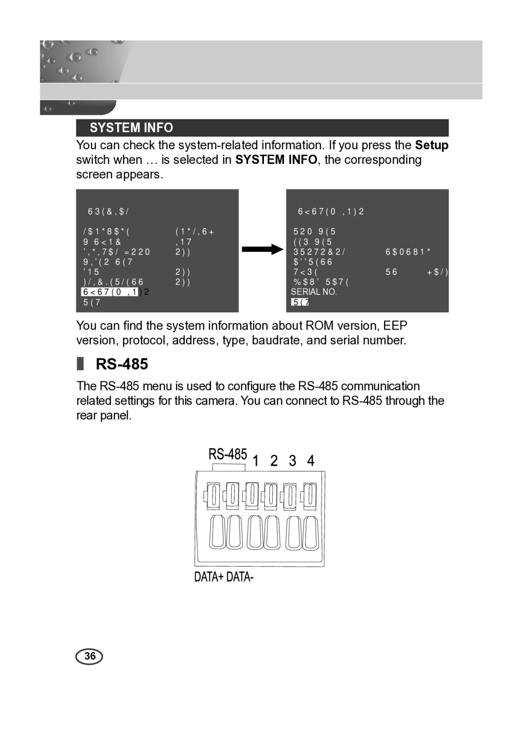 Samsung SCC-A2013P, SCC-B2013P, SCC-B2313P, SCC-A2313P manual RS-485, System Info 