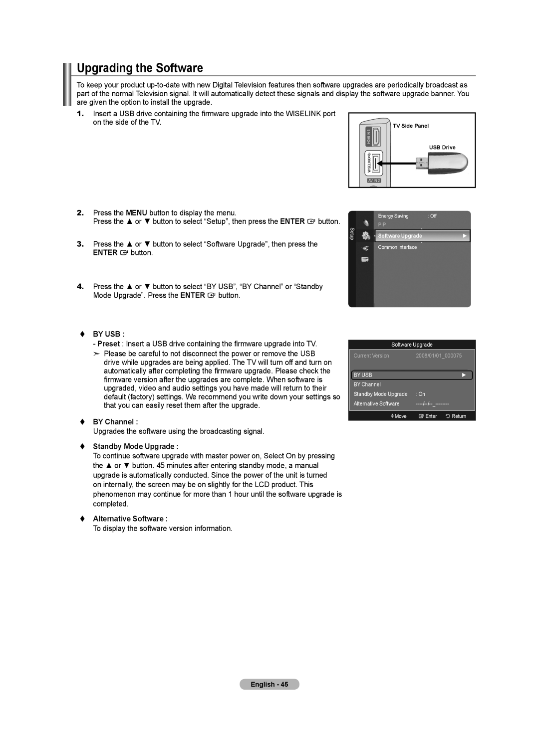 Samsung Series 5 user manual Upgrading the Software,  by USB,  by Channel,  Standby Mode Upgrade,  Alternative Software 