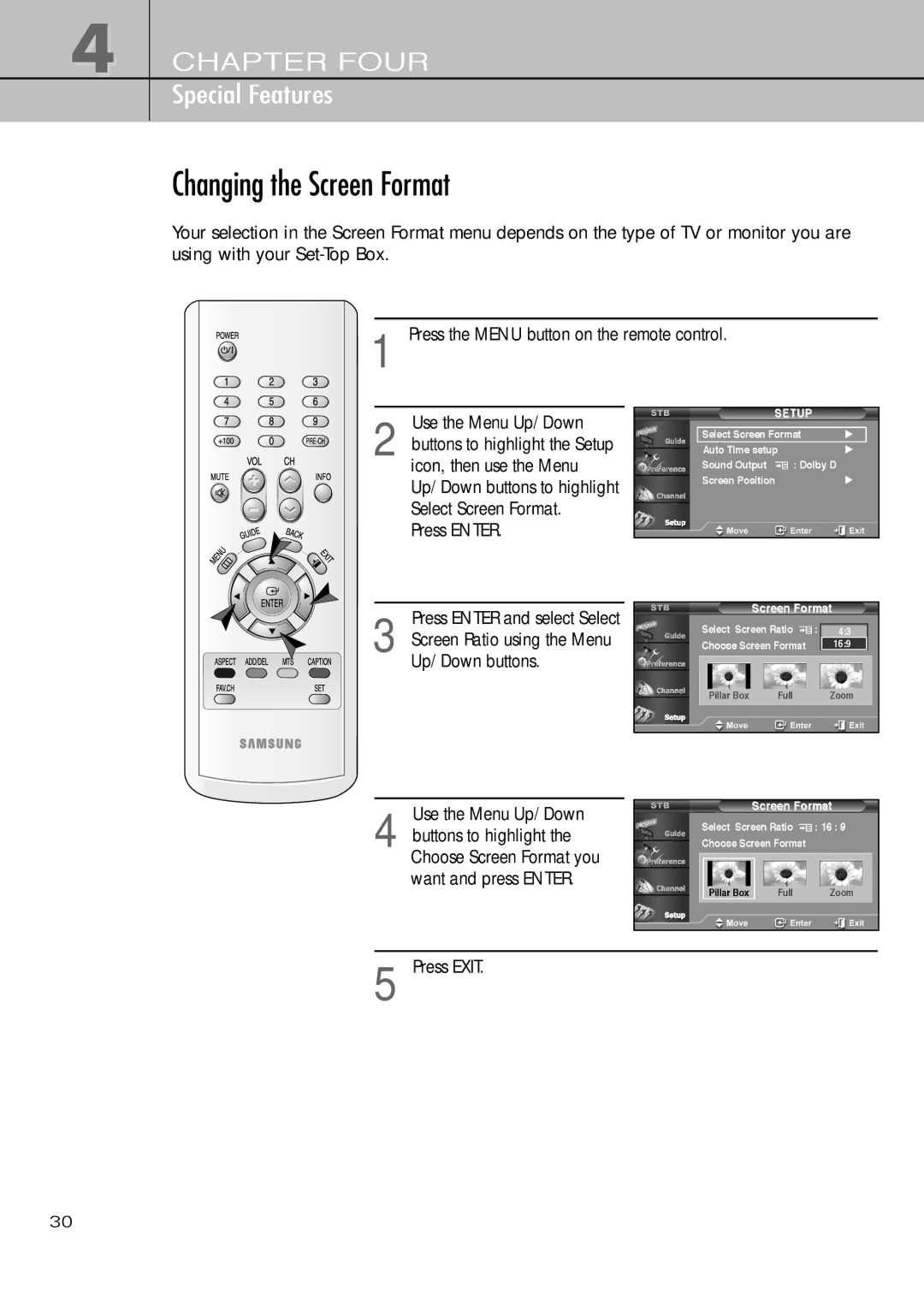 Samsung SIR-T451 manual Changing the Screen Format 