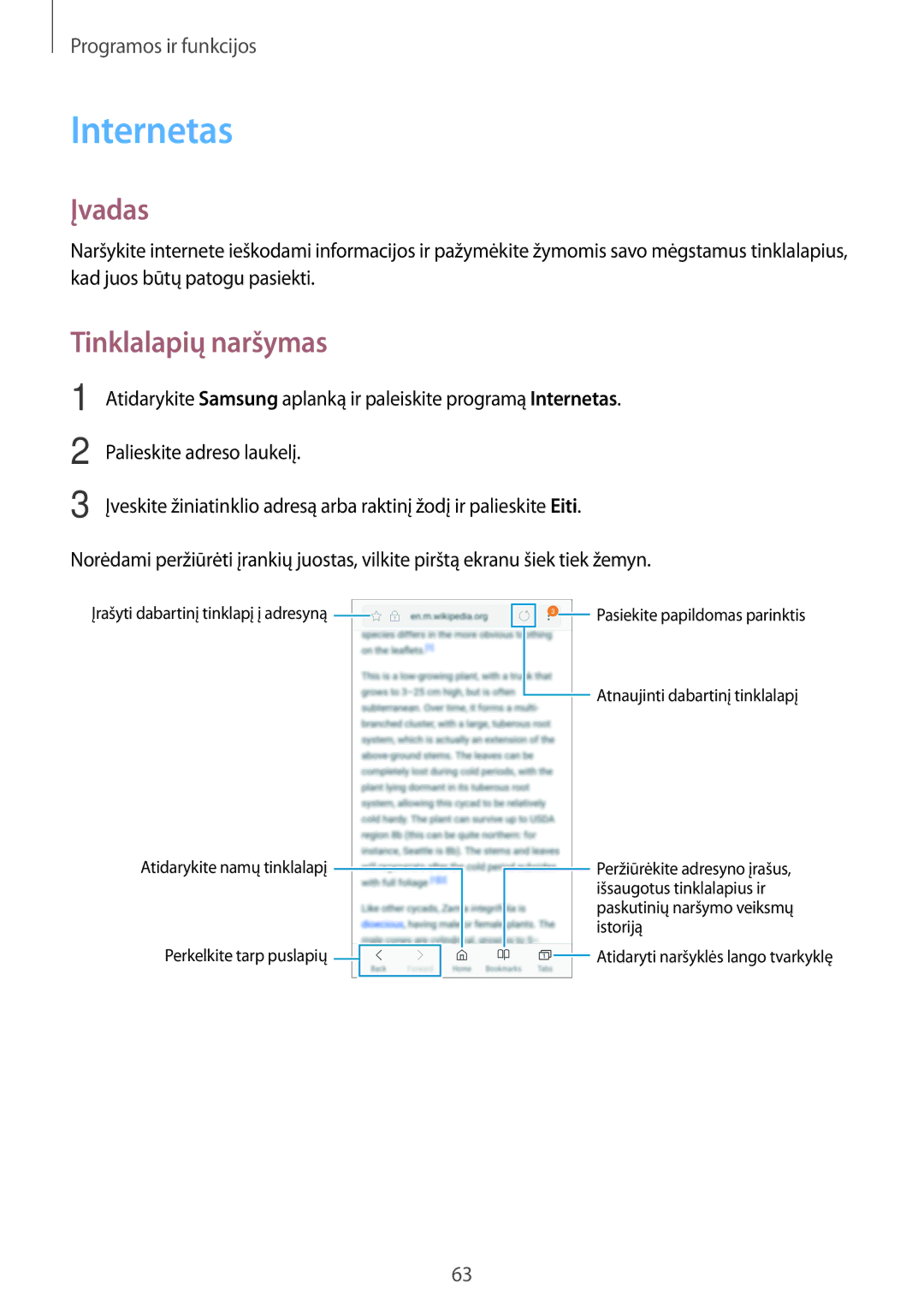 Samsung SM-A520FZDASEB, SM-A520FZIASEB, SM-A320FZKNSEB, SM-A320FZINSEB, SM-A320FZDNSEB manual Internetas, Tinklalapių naršymas 