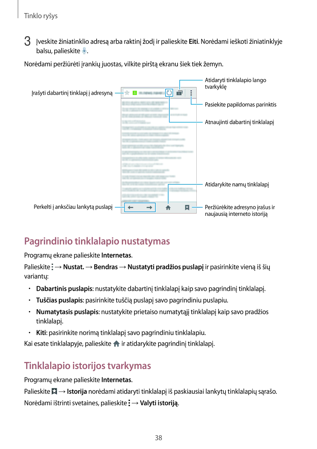 Samsung SM-G313HHAHSEB, SM-G313HRWHSEB manual Pagrindinio tinklalapio nustatymas, Tinklalapio istorijos tvarkymas 