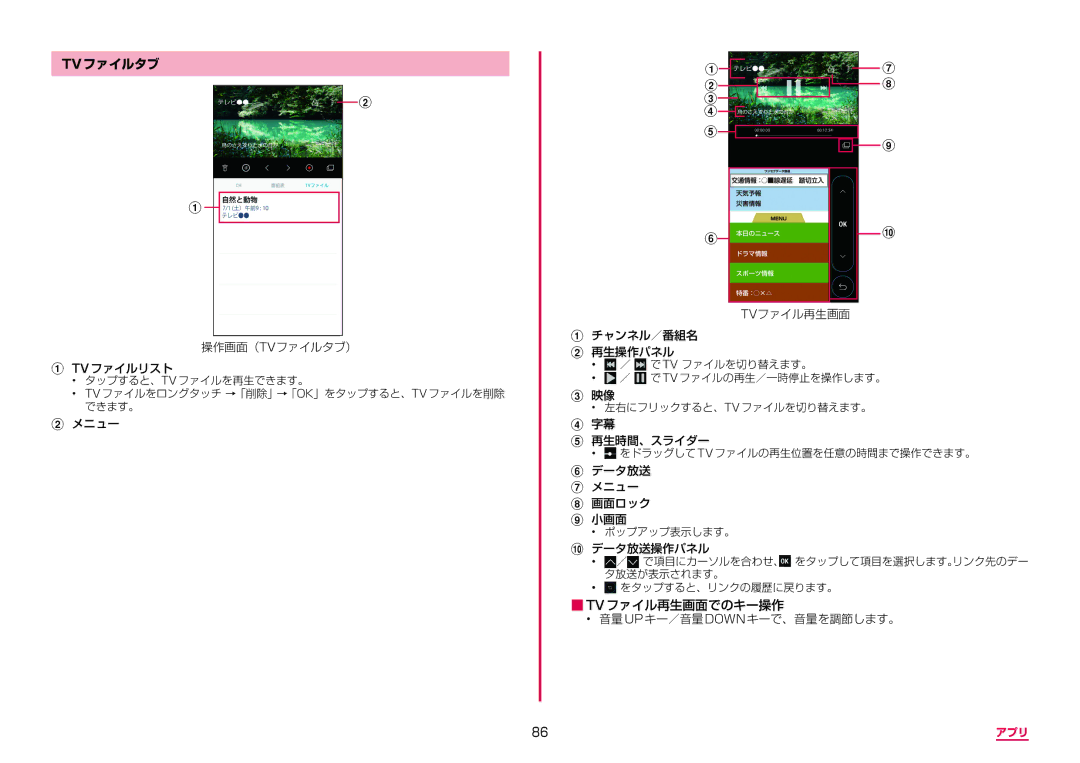 Samsung SM-G955DZSADCM, SM-G955DZKADCM manual Tvファイルタブ 