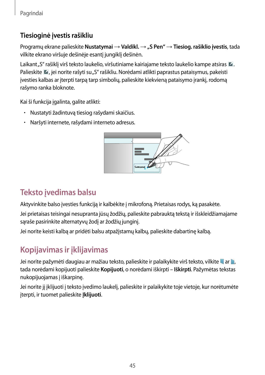 Samsung SM-P9000ZWASEB, SM-P9000ZKASEB manual Teksto įvedimas balsu, Kopijavimas ir įklijavimas, Tiesioginė įvestis rašikliu 