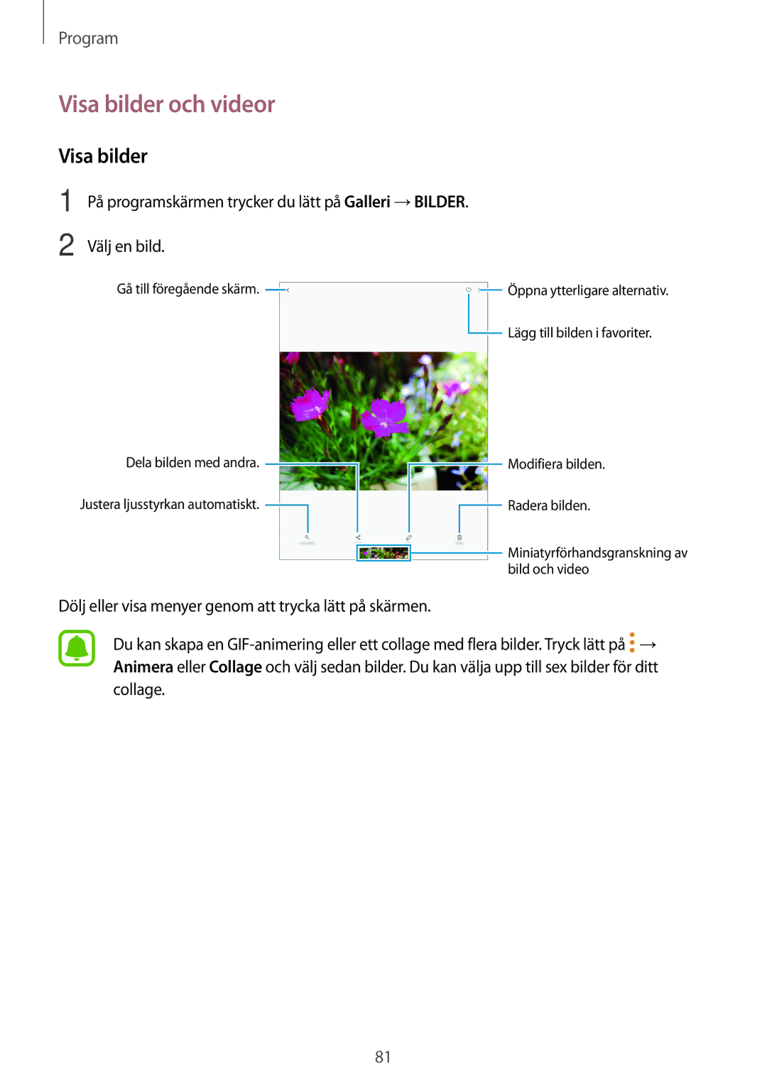 Samsung SM-T820NZSANEE, SM-T820NZKANEE manual Visa bilder och videor 