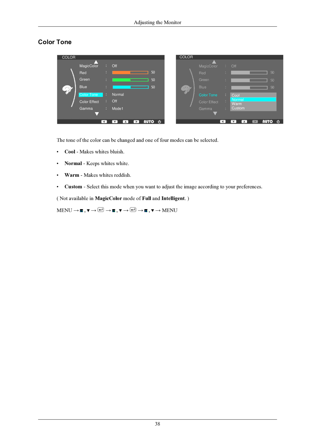 Samsung SMT-1912P manual Color Tone 