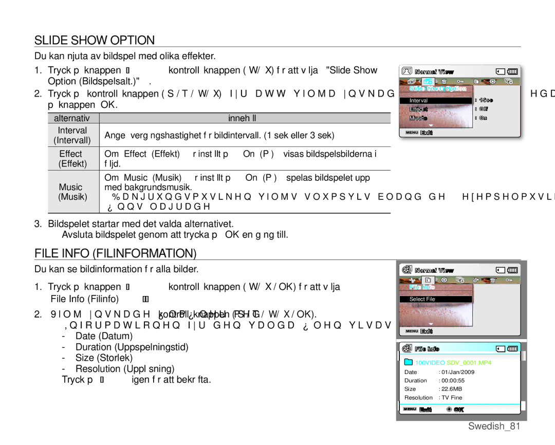 Samsung SMX-K45LP/EDC, SMX-K45BP/EDC, SMX-K40LP/EDC, SMX-K40BP/EDC manual Slide Show Option, File Info Filinformation 