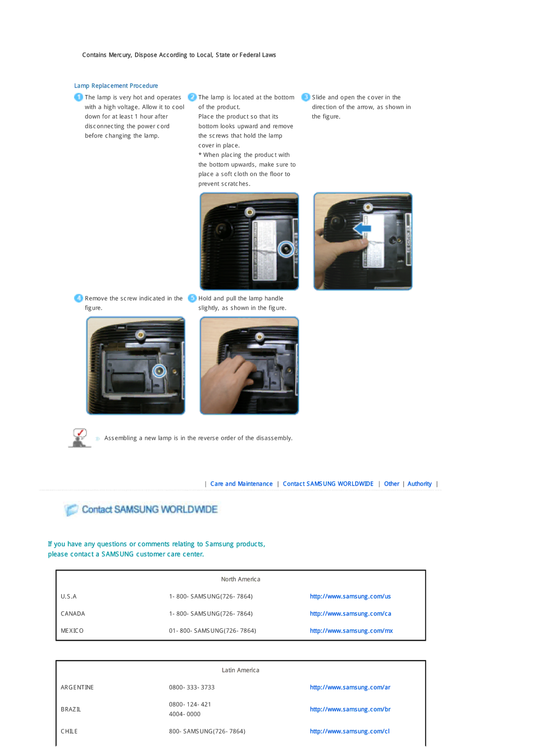 Samsung SP-D300B manual North America 