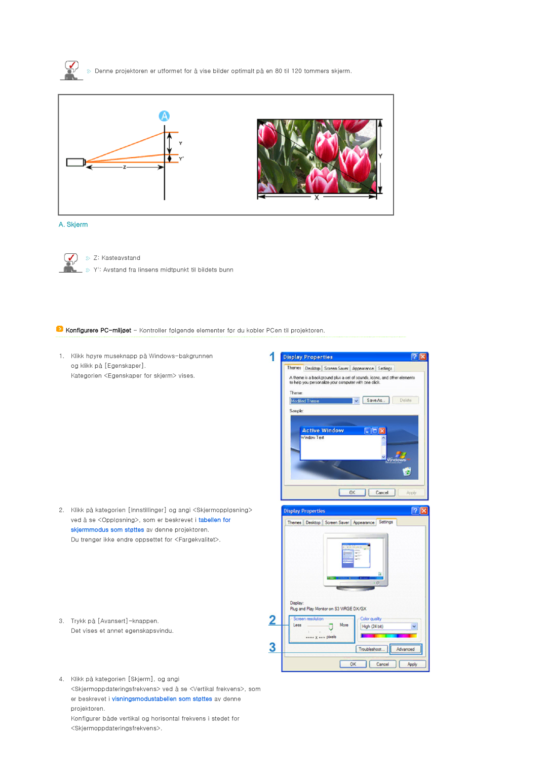 Samsung SP-D300BX manual Skjerm 