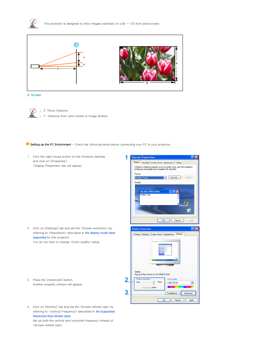 Samsung SP-D400S manual Screen 