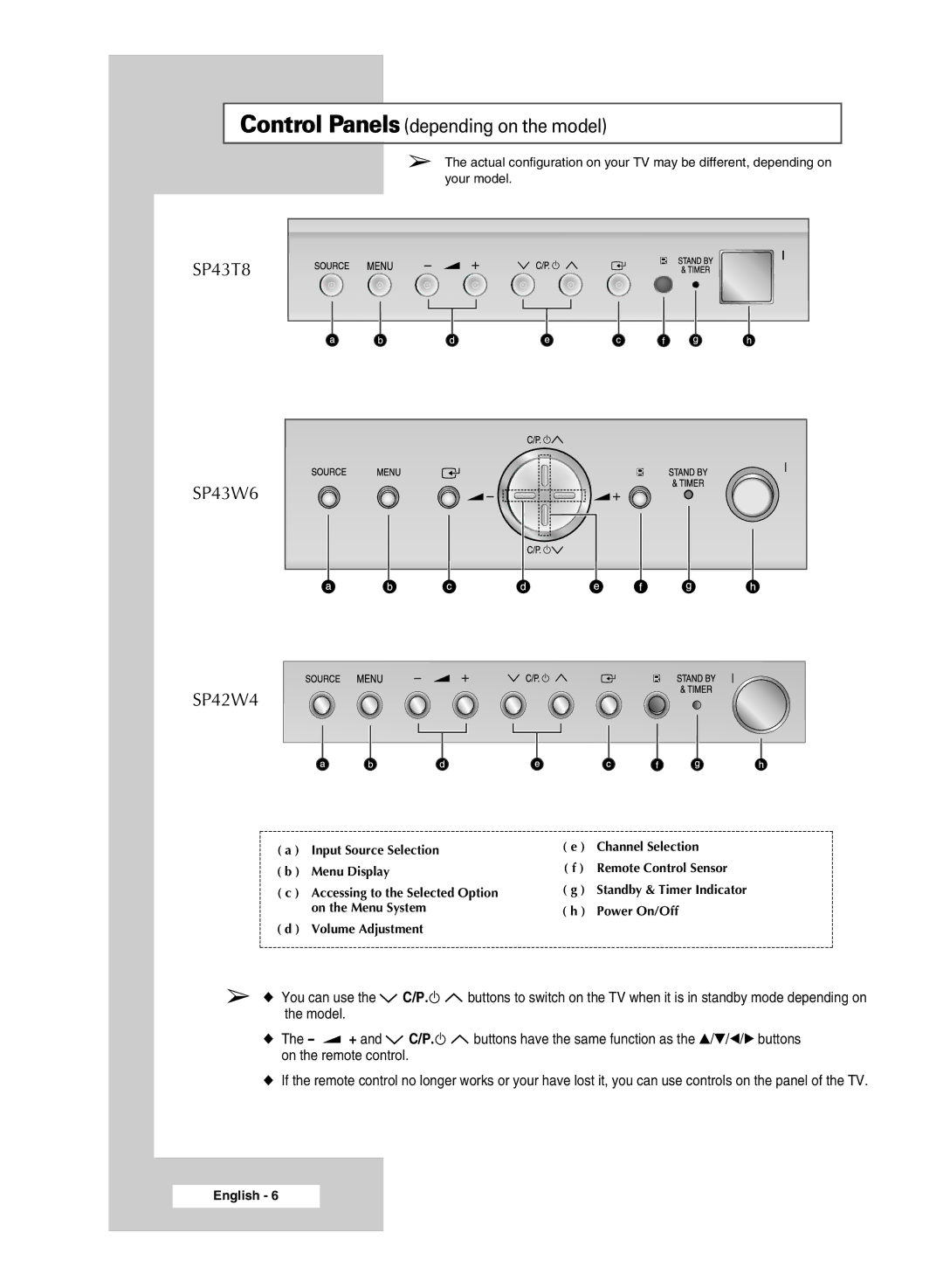 Samsung SP4202 manual Control Panels depending on the model 