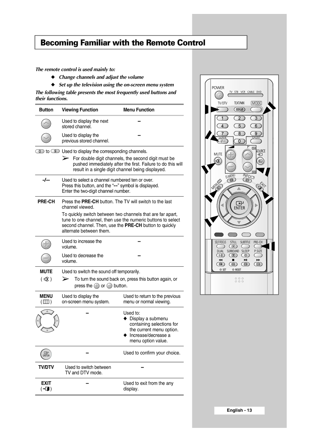 Samsung SP43Q5 manual Becoming Familiar with the Remote Control, Button Viewing Function 