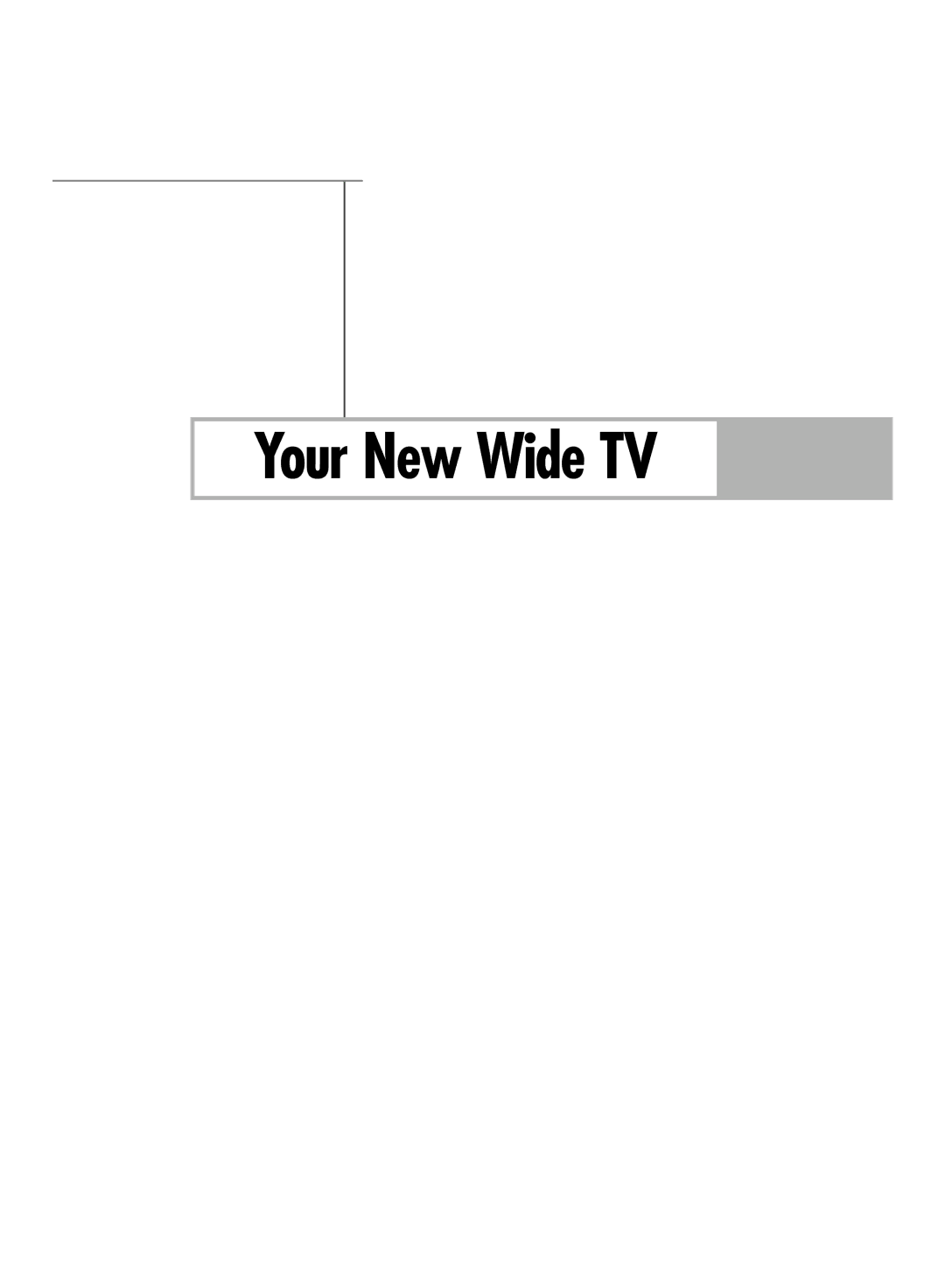 Samsung SP50L6HV manual Your New Wide TV 