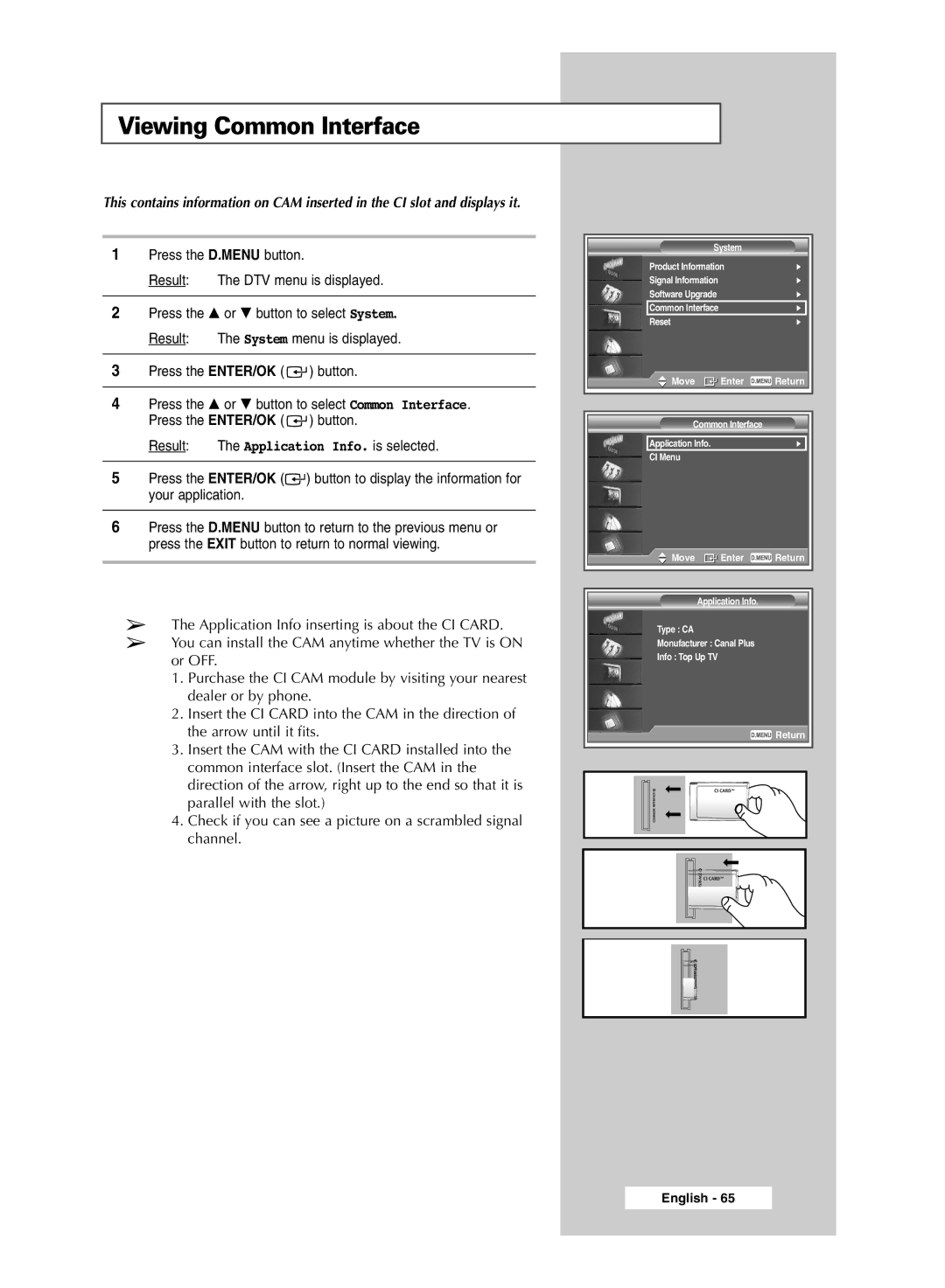 Samsung SP50L6HD, SP67L6HD manual Viewing Common Interface 