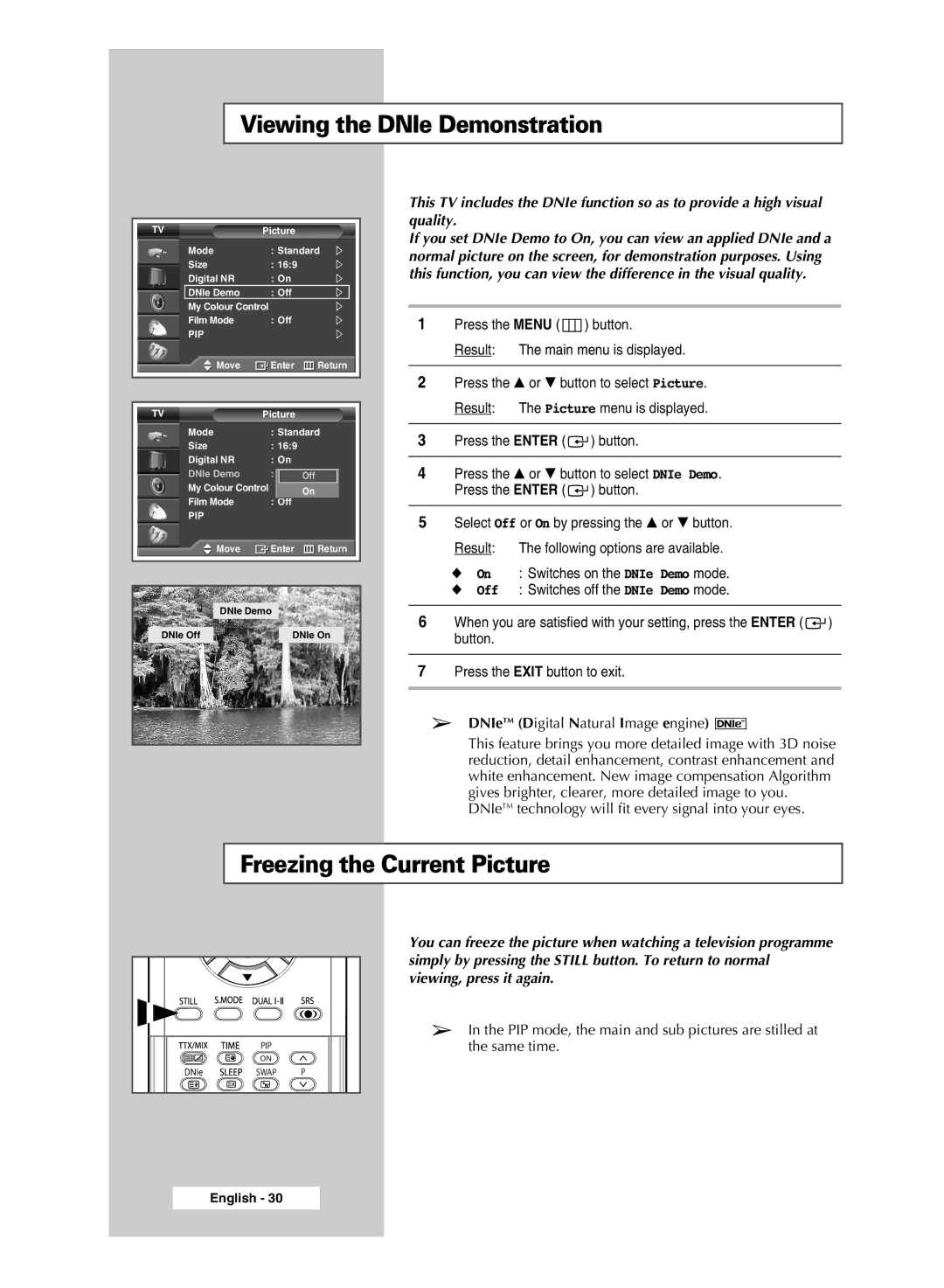 Samsung SP67L6HX manual Viewing the DNIe Demonstration, Freezing the Current Picture 