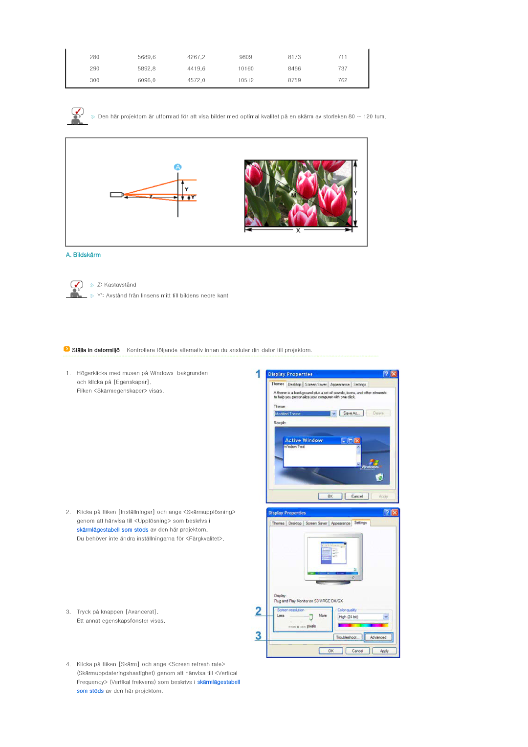 Samsung SPL250WX/EN, SPL200WX/EN manual Bildskärm 