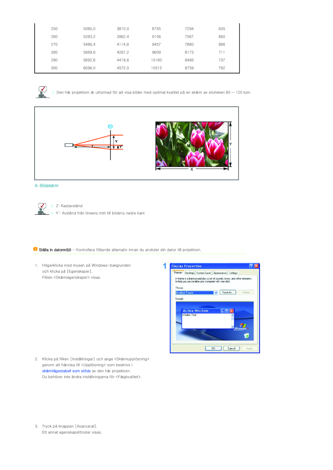 Samsung SPL300WX/EN manual Bildskärm 