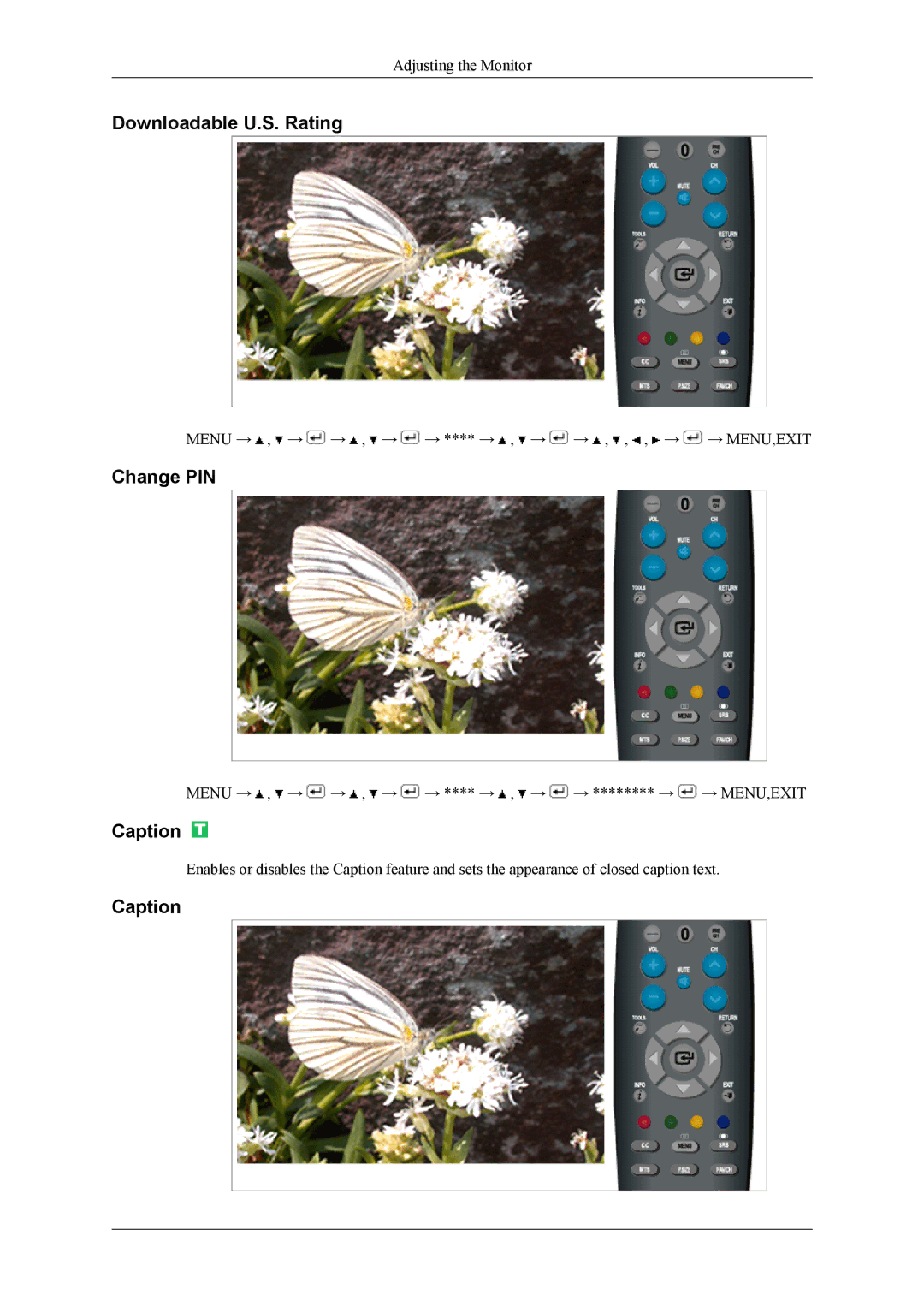 Samsung T220HD, T200HD user manual Downloadable U.S. Rating, Change PIN, Caption 