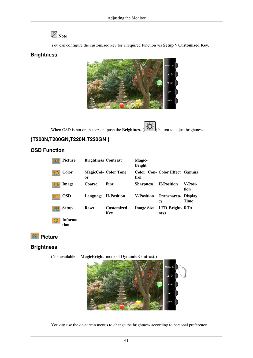 Samsung T190N, T190GN user manual Brightness, T200N,T200GN,T220N,T220GN OSD Function 