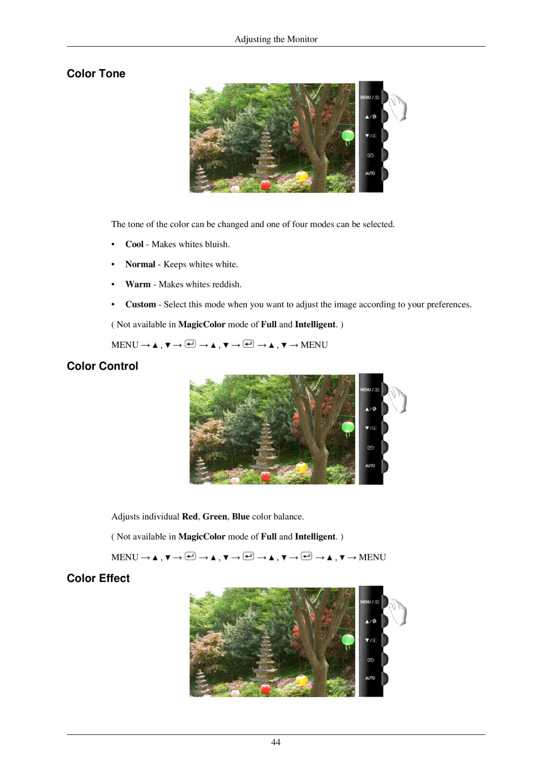 Samsung T220N, T200N, T220GN, T200GN, T190N, T190GN user manual Color Tone 