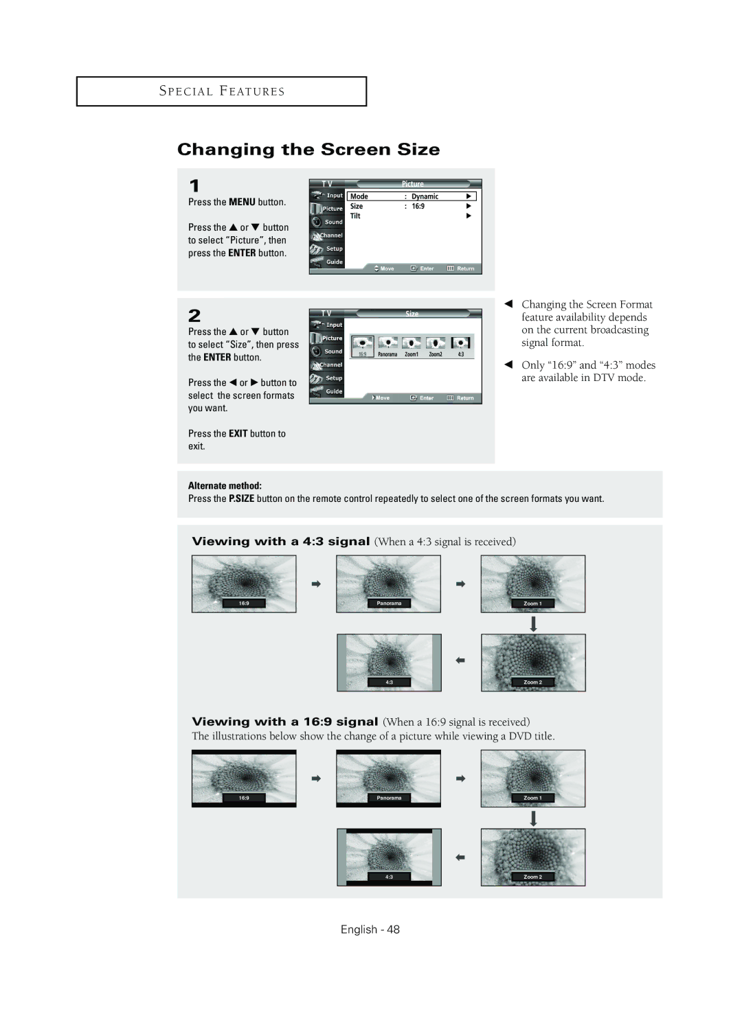 Samsung TX R3079WH manual Changing the Screen Size 