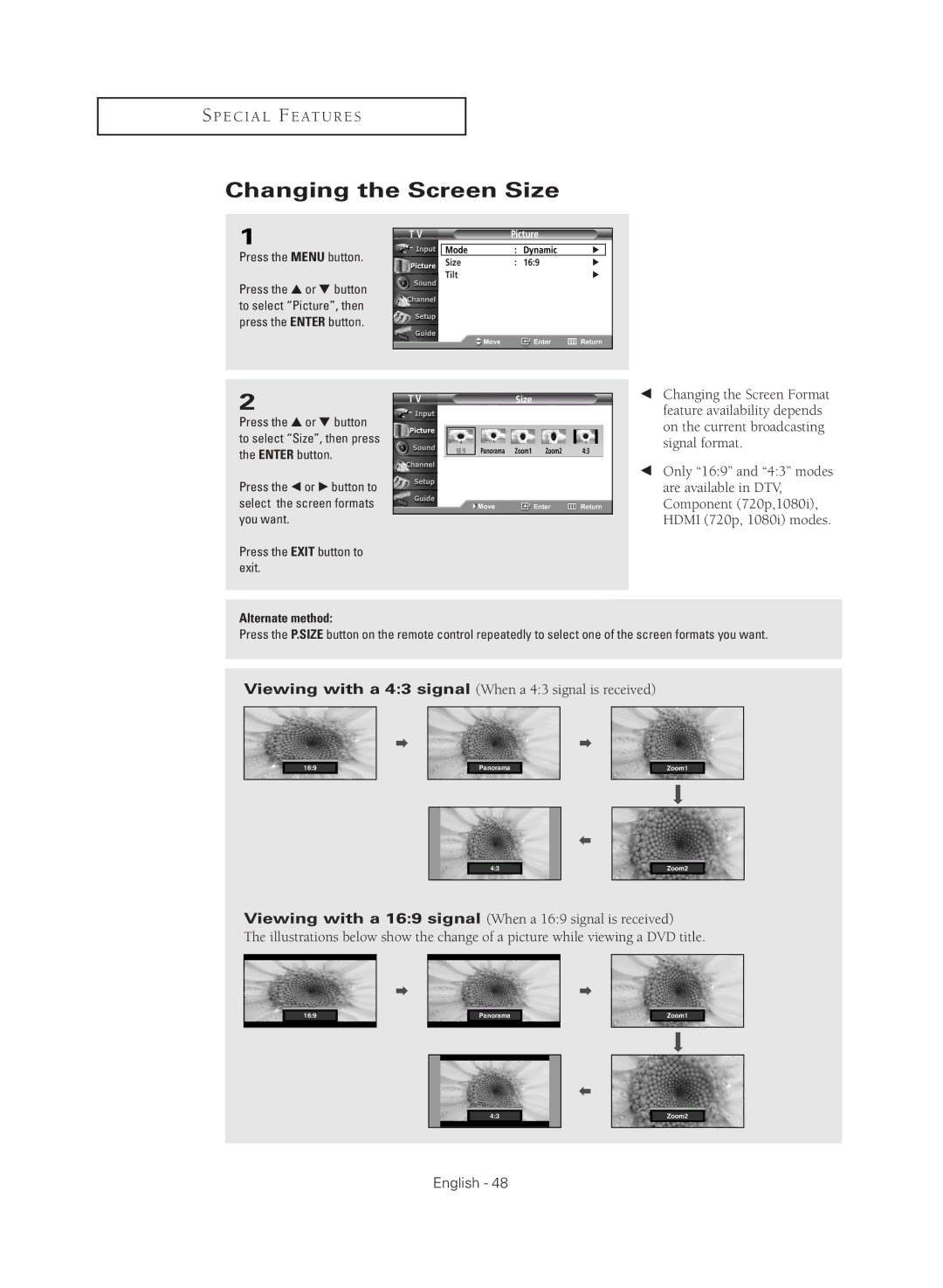 Samsung TX-R3081W manual Changing the Screen Size 